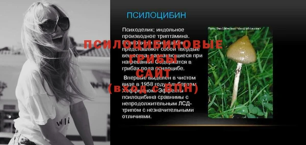 apvp Заволжье