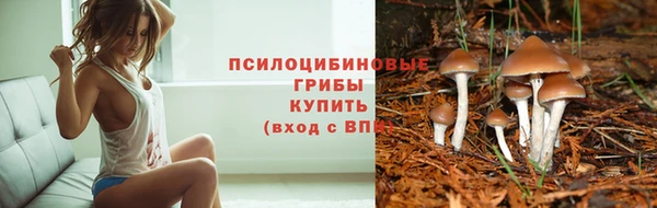 apvp Заволжье