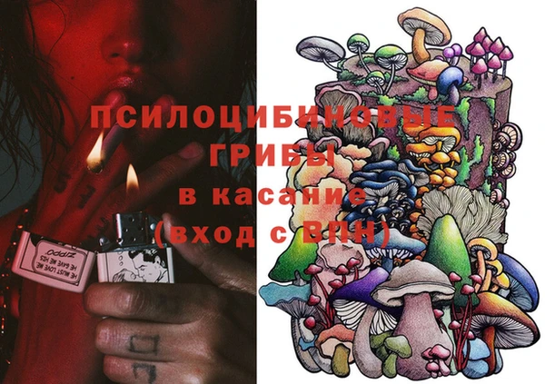 apvp Заволжье