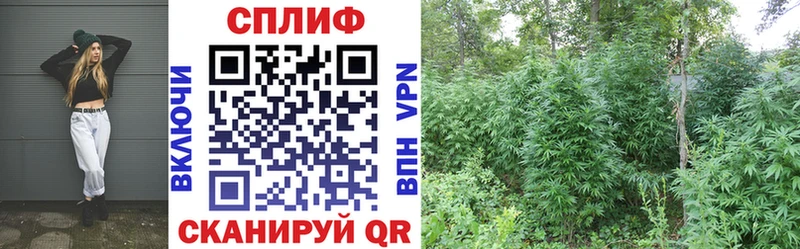 Канабис конопля  Купить закладки  Железноводск 